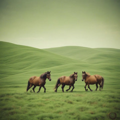 Morgan Valley