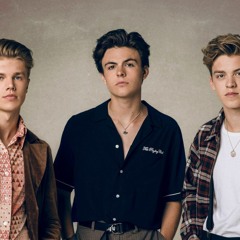 In My Blood - Shawn Mendes (New Hope Club Cover)