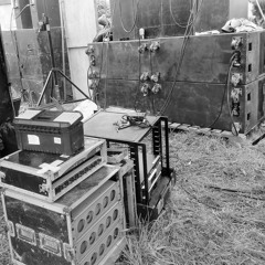 Triple Distilled Bass