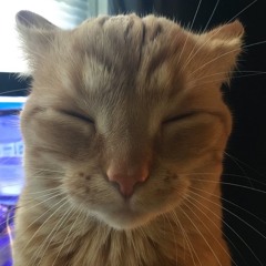 Diablota - El Bogueto Ft Jossie Air (maqueta)