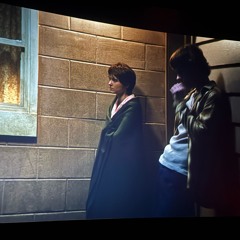 we the people (twiinedy)