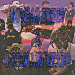 BONSAI TREES & MOUNTAIN LEAFS (FT. JAYGHOST) [PROD. FLAMEONBEATS]