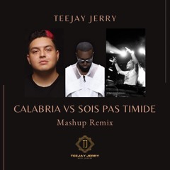 TEEJAY JERRY x GIMS x LUJAVO  - CALABRIA vs SOIS PAS TIMIDE (Mashup Remix 2024)