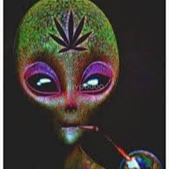 ANIMAL NOISEZZ 4 RELAX,studying smokin nd shit PART 1