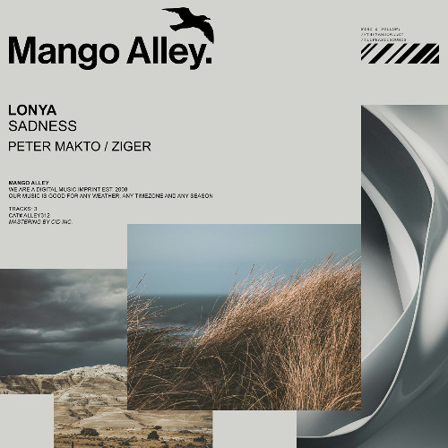 Lonya-Sadness (Ziger remix)