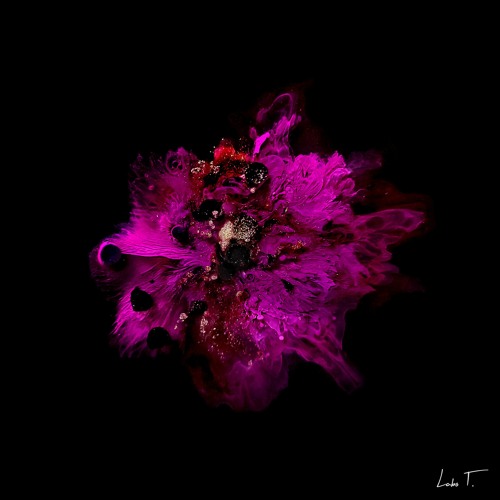 Polygraph - Confidence (SNIPPET)
