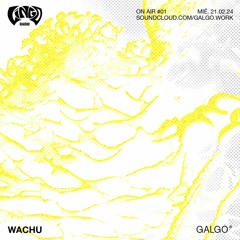 Lingo Radio On Air #1 W/ WACHU