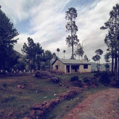 Duniya Kisi ki Pyar Me Janat se Kam nh By Sajjad Ali