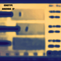 Genotype - Angerous EP - Deeper Sessions (DS)