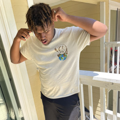 Section (Prod By Dev)