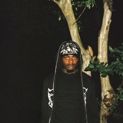 WtfStickman-Bankroll