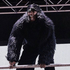 Die4Guy (Rolling Loud NY)