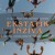 Artwork for Morning Ecstatic Dance in Kioo 2024.06.19