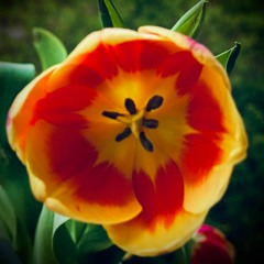 Temptations #016 (April 2021)