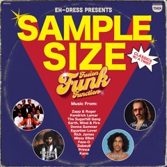 FFF: Sample Size (Funk Mix)