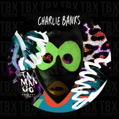 Premiere: Charlie Banks - Whip It [Tamango Records]