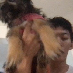 4m of relaxing music 4 junia