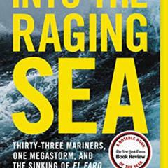 Get EBOOK 🎯 Into the Raging Sea: Thirty-Three Mariners, One Megastorm, and the Sinki