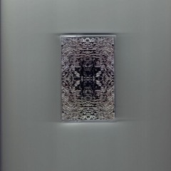 Pareidolia [WISH001]