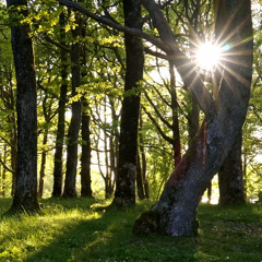 Lange - Follow Me (CB Soreide Chillout Remix)