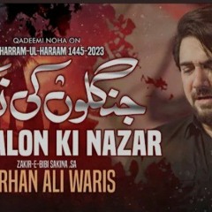 Farhan Ali Waris | Jangalo Ki Nazar | 2023 | 1445
