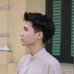 DUNG LO NHE CO ANH O DAY - THAI HOANG REMIX