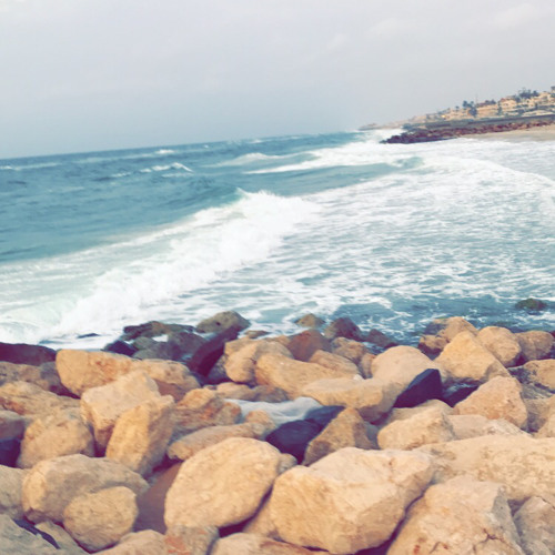 - وديع الشيخ نار 2021