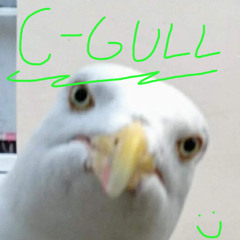 C-Gull