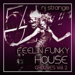 "Feelin Funky" House Grooves Vol2