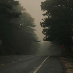 Mang Thai | chị Sa Huỳnh viết | Linh cover