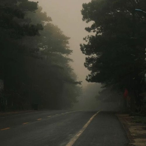 Mang Thai | chị Sa Huỳnh viết | Linh cover