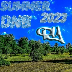 SUMMER DNB 2023
