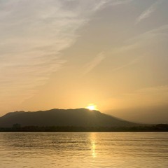 Summer of Early Hardcore 2