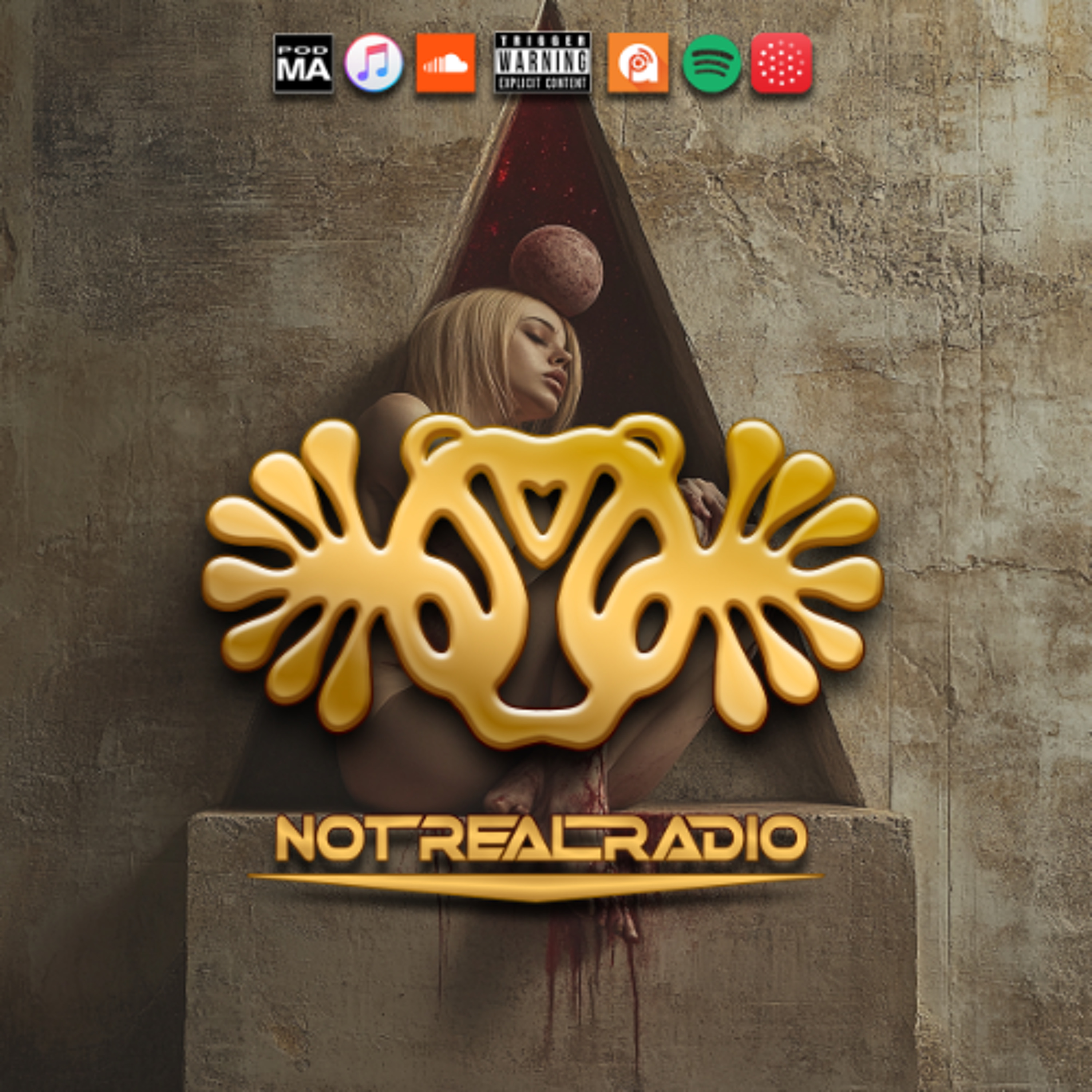 Not Real Radio