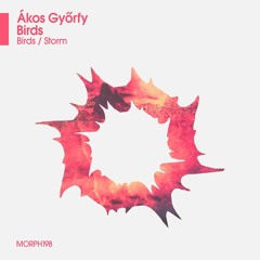 Ákos Győrfy - Storm (Original Mix) (Morphosis Records)