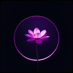 Singularity Bloom