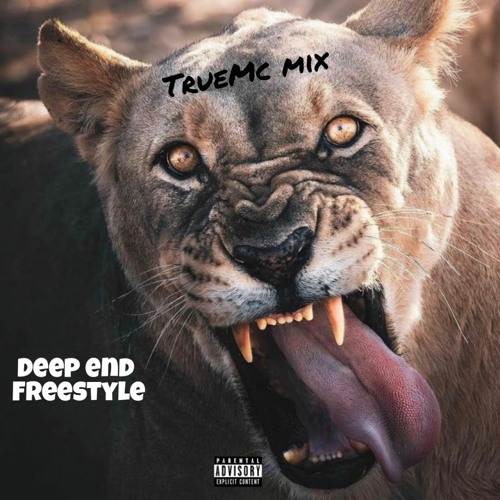 Deep End  ( Freestyle TrueMc Mix)