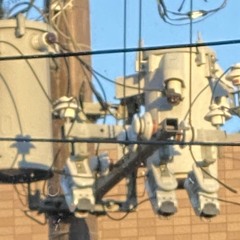 1hŤЯI₽₽€Я$(AUG/2025)