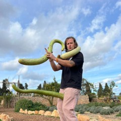 Word Of Mouth 036 - Harry Charles