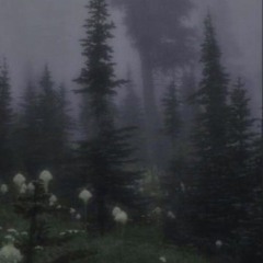 Octobre-Novembre-Decembre