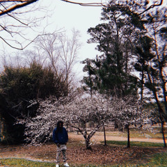 LIKE THAT (mastered)