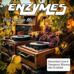 ENZYMES_Vino Lounge Mix Volume 1_Live at Ten Spoon Vineyard & Winery 6_17_23