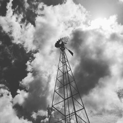 Salt The Earth Behind You