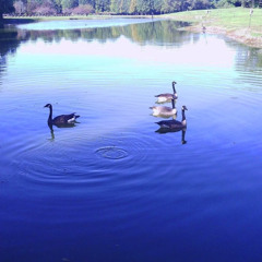 give 'em hell kid - my chemical romance (bass cover)