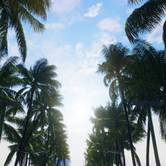 SUNSET MIX