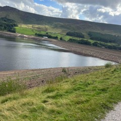 Shaun Dean - What About ( Oglesby remix )