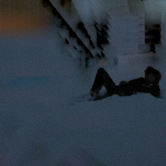 woodside gardens 16 december 2012