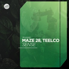 Maze 28, TEELCO - Seekers [Movement Recordings]