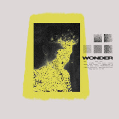 Wonder (feat. Still Woozy & MTMBO)