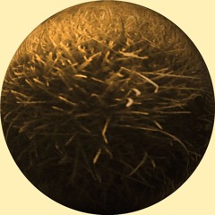 Contaminated Husk [disquiet0695-cleanaftereachuse]